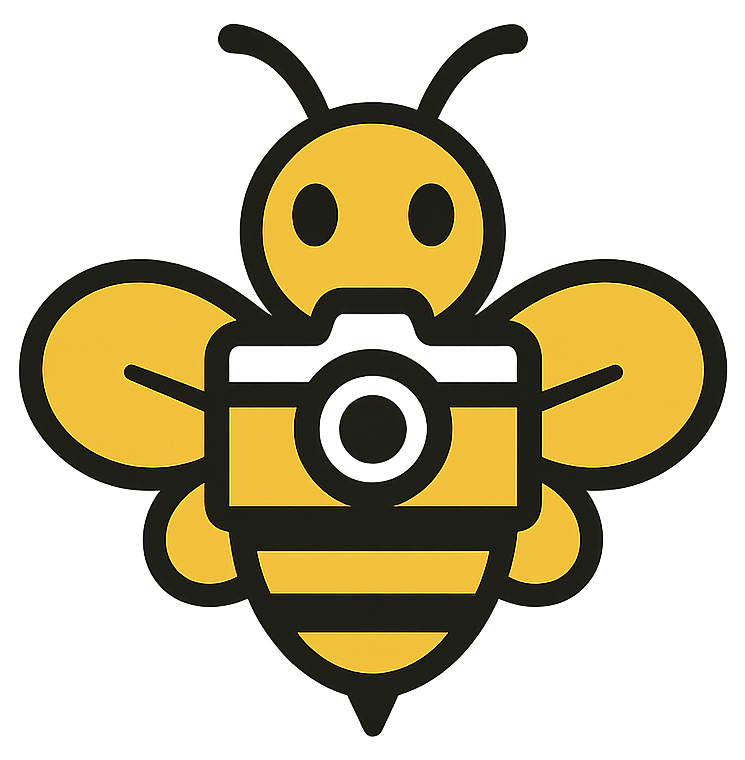 PictureHive Logo